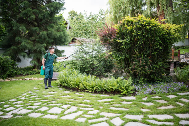 Best Exterminator Services  in Southport, IN