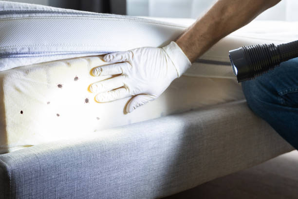 Best Best Pest Control Companies  in Southport, IN