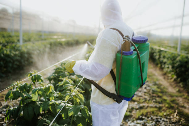 Best Local Pest Control Services  in Southport, IN
